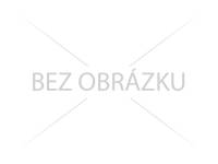 Obrázek bez názvu